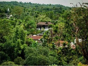 मेघालय का मावल्यान्नॉंग गाँव- एशिया का सबसे स्वच्छ गाँव