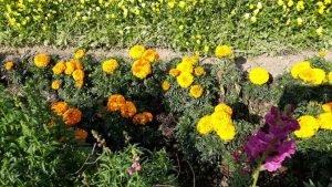 इतने दिनों के बाद