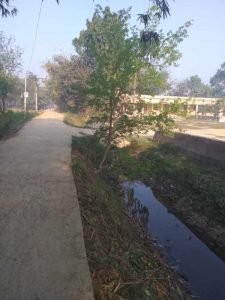 ये धूप चटक होती है