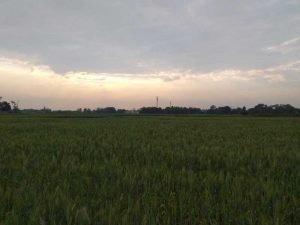 बिखरा – बिखरा सब हिल गया है