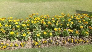 कुछ कच्चा पक्का लगता है