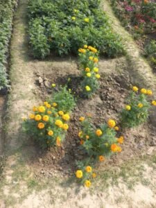 ज़िन्दगी बहुत खूबसूरत है