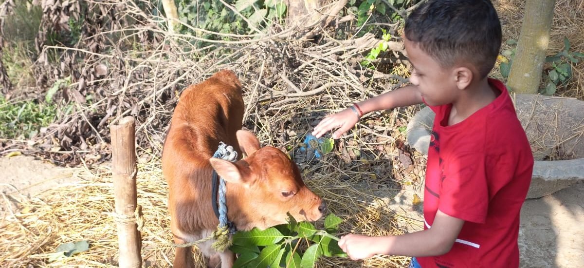 ये ज़िन्दगी