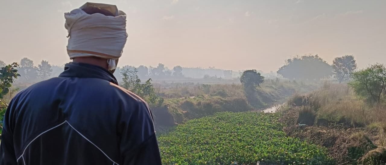 Sirauna - My Village